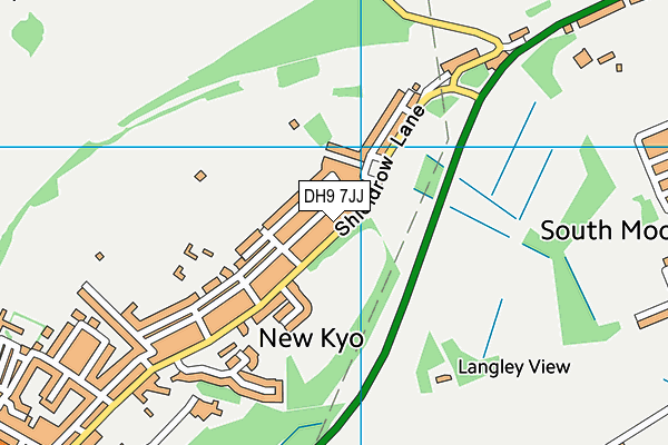 DH9 7JJ map - OS VectorMap District (Ordnance Survey)