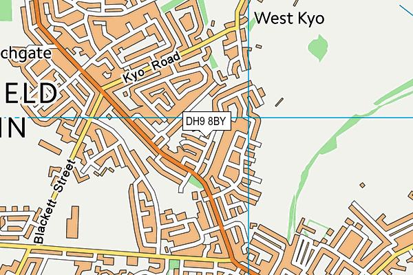 DH9 8BY map - OS VectorMap District (Ordnance Survey) DH9 8BY map - OS VectorMap District (Ordnance Survey)