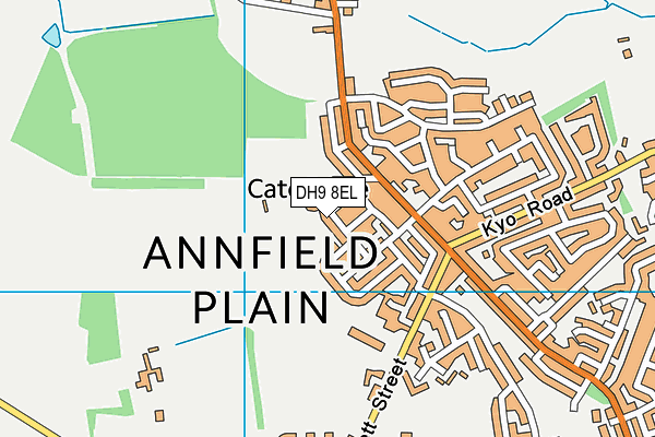 DH9 8EL map - OS VectorMap District (Ordnance Survey) DH9 8EL map - OS VectorMap District (Ordnance Survey)