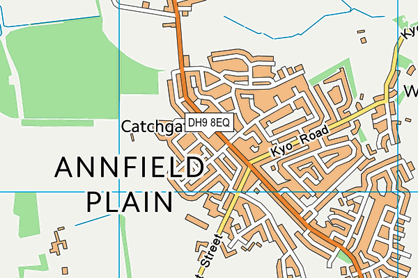 DH9 8EQ map - OS VectorMap District (Ordnance Survey)