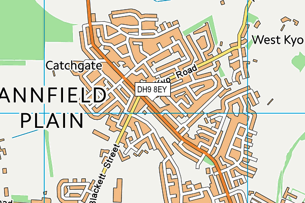 DH9 8EY map - OS VectorMap District (Ordnance Survey)