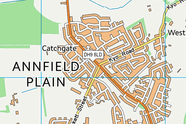 DH9 8LD map - OS VectorMap District (Ordnance Survey)