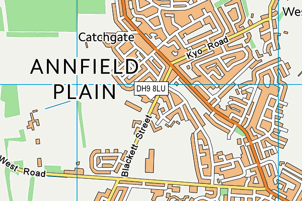 DH9 8LU map - OS VectorMap District (Ordnance Survey) DH9 8LU map - OS VectorMap District (Ordnance Survey)