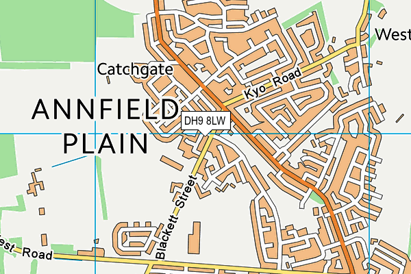 DH9 8LW map - OS VectorMap District (Ordnance Survey) DH9 8LW map - OS VectorMap District (Ordnance Survey)