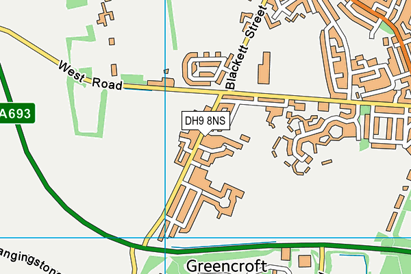 DH9 8NS map - OS VectorMap District (Ordnance Survey) DH9 8NS map - OS VectorMap District (Ordnance Survey)