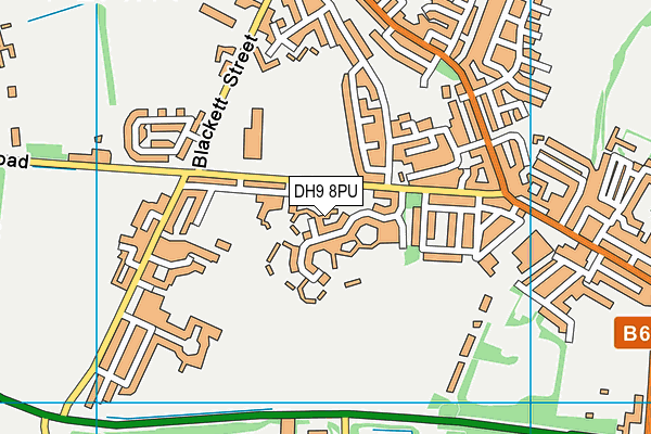 DH9 8PU map - OS VectorMap District (Ordnance Survey) DH9 8PU map - OS VectorMap District (Ordnance Survey)