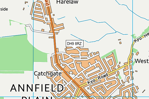 DH9 8RZ map - OS VectorMap District (Ordnance Survey) DH9 8RZ map - OS VectorMap District (Ordnance Survey)