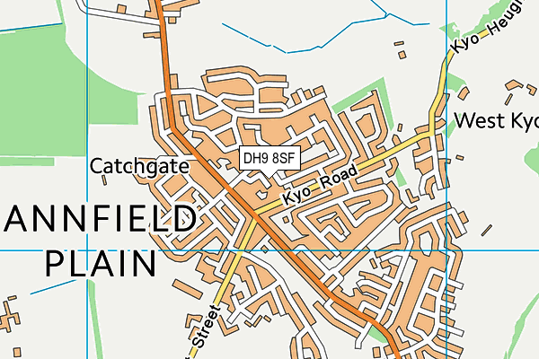 DH9 8SF map - OS VectorMap District (Ordnance Survey) DH9 8SF map - OS VectorMap District (Ordnance Survey)
