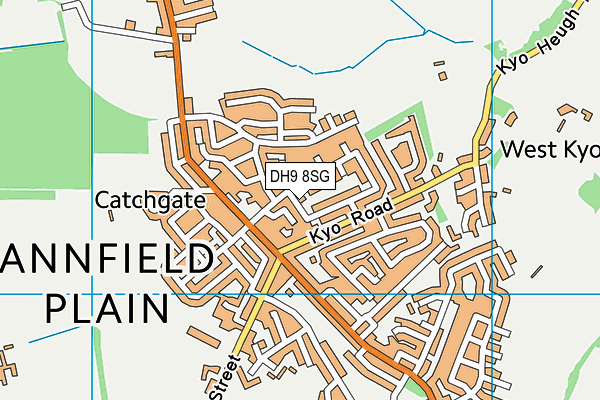 DH9 8SG map - OS VectorMap District (Ordnance Survey) DH9 8SG map - OS VectorMap District (Ordnance Survey)