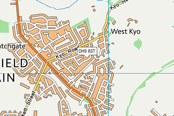 DH9 8ST map - OS VectorMap District (Ordnance Survey) DH9 8ST map - OS VectorMap District (Ordnance Survey)
