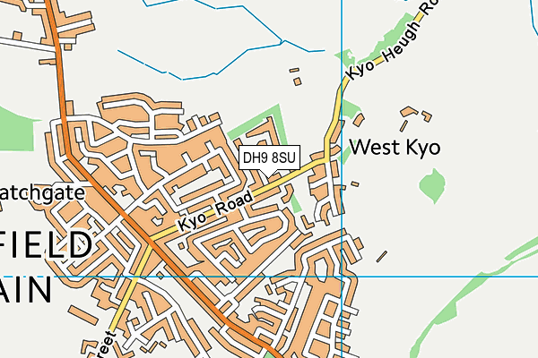 DH9 8SU map - OS VectorMap District (Ordnance Survey) DH9 8SU map - OS VectorMap District (Ordnance Survey)