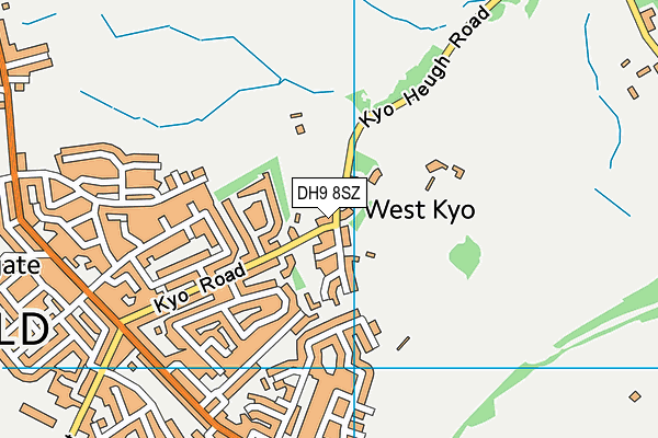 DH9 8SZ map - OS VectorMap District (Ordnance Survey) DH9 8SZ map - OS VectorMap District (Ordnance Survey)