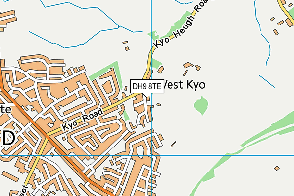 DH9 8TE map - OS VectorMap District (Ordnance Survey) DH9 8TE map - OS VectorMap District (Ordnance Survey)