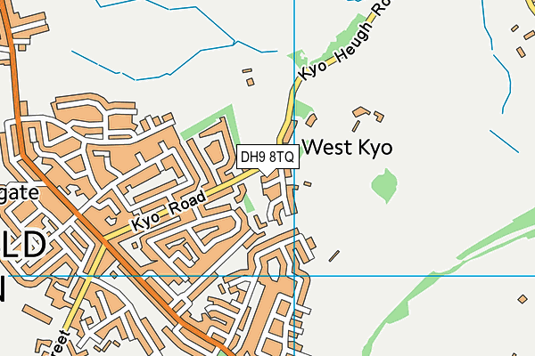 DH9 8TQ map - OS VectorMap District (Ordnance Survey) DH9 8TQ map - OS VectorMap District (Ordnance Survey)