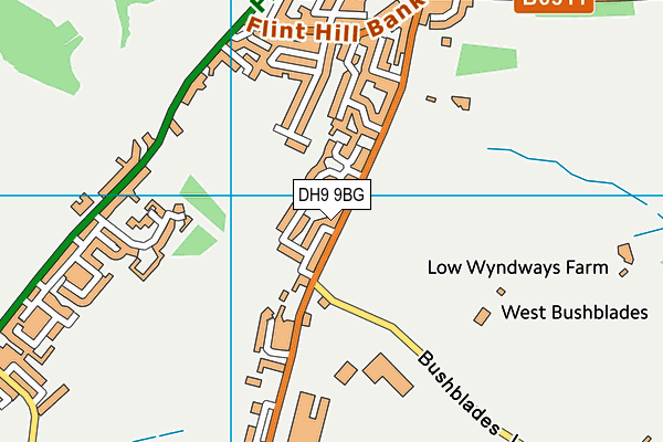 DH9 9BG map - OS VectorMap District (Ordnance Survey) DH9 9BG map - OS VectorMap District (Ordnance Survey)
