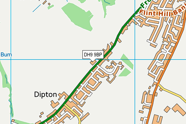 DH9 9BP map - OS VectorMap District (Ordnance Survey) DH9 9BP map - OS VectorMap District (Ordnance Survey)