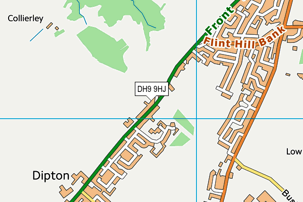 DH9 9HJ map - OS VectorMap District (Ordnance Survey)