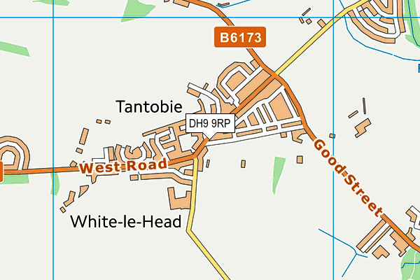 DH9 9RP map - OS VectorMap District (Ordnance Survey)