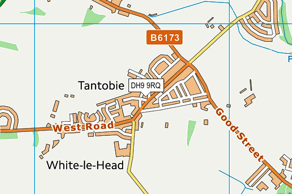 DH9 9RQ map - OS VectorMap District (Ordnance Survey) DH9 9RQ map - OS VectorMap District (Ordnance Survey)