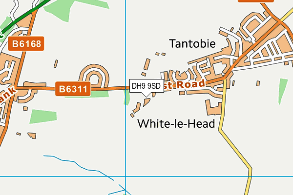 DH9 9SD map - OS VectorMap District (Ordnance Survey)