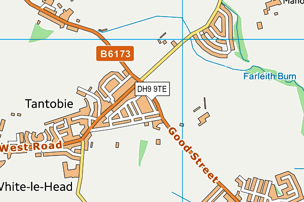 DH9 9TE map - OS VectorMap District (Ordnance Survey) DH9 9TE map - OS VectorMap District (Ordnance Survey)