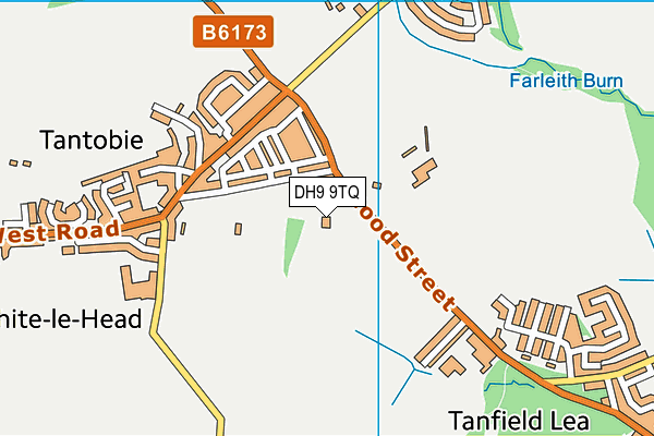 DH9 9TQ map - OS VectorMap District (Ordnance Survey)