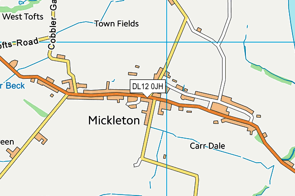 DL12 0JH map - OS VectorMap District (Ordnance Survey) DL12 0JH map - OS VectorMap District (Ordnance Survey)