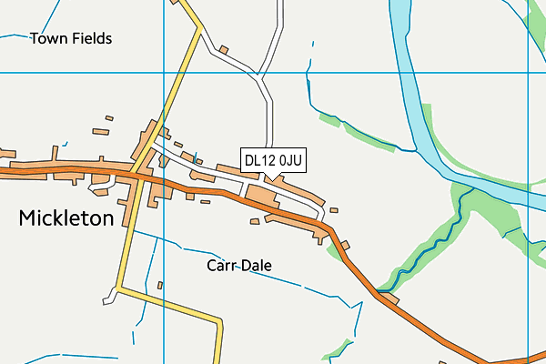 DL12 0JU map - OS VectorMap District (Ordnance Survey) DL12 0JU map - OS VectorMap District (Ordnance Survey)