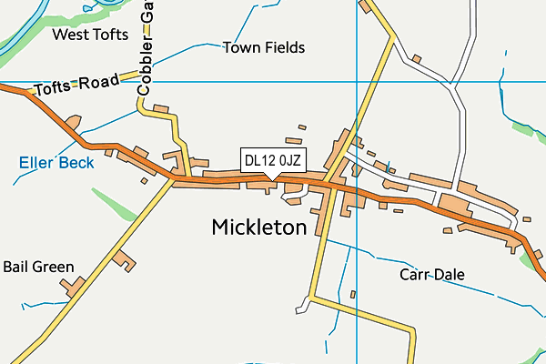 DL12 0JZ map - OS VectorMap District (Ordnance Survey) DL12 0JZ map - OS VectorMap District (Ordnance Survey)