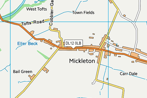 DL12 0LB map - OS VectorMap District (Ordnance Survey) DL12 0LB map - OS VectorMap District (Ordnance Survey)