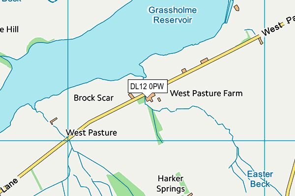 DL12 0PW map - OS VectorMap District (Ordnance Survey) DL12 0PW map - OS VectorMap District (Ordnance Survey)