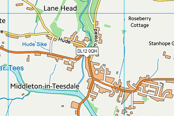 DL12 0QH map - OS VectorMap District (Ordnance Survey) DL12 0QH map - OS VectorMap District (Ordnance Survey)