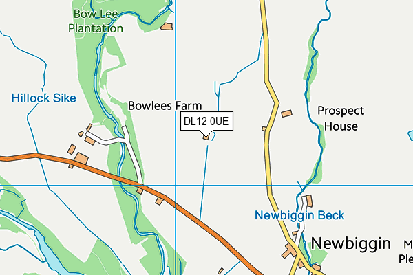 DL12 0UE map - OS VectorMap District (Ordnance Survey) DL12 0UE map - OS VectorMap District (Ordnance Survey)