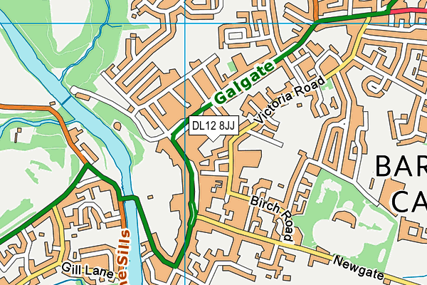 DL12 8JJ map - OS VectorMap District (Ordnance Survey)
