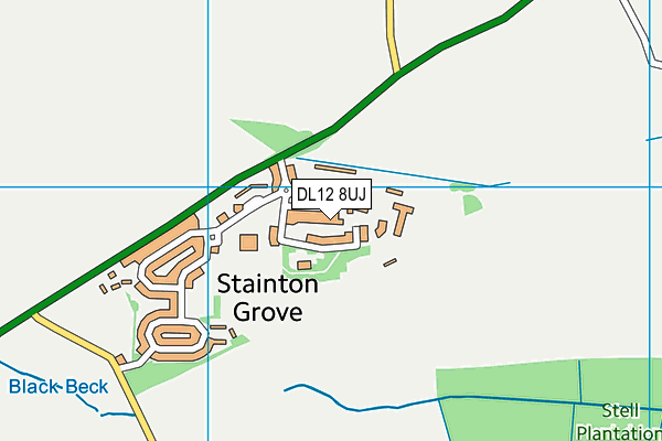 DL12 8UJ map - OS VectorMap District (Ordnance Survey) DL12 8UJ map - OS VectorMap District (Ordnance Survey)