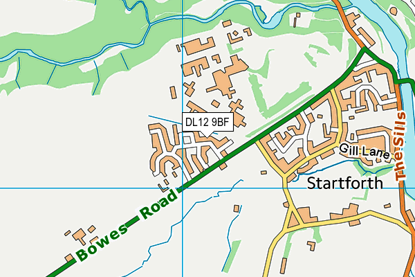 DL12 9BF map - OS VectorMap District (Ordnance Survey) DL12 9BF map - OS VectorMap District (Ordnance Survey)