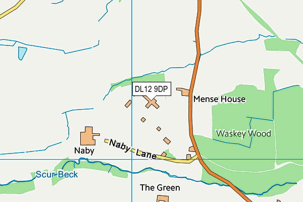 DL12 9DP map - OS VectorMap District (Ordnance Survey) DL12 9DP map - OS VectorMap District (Ordnance Survey)
