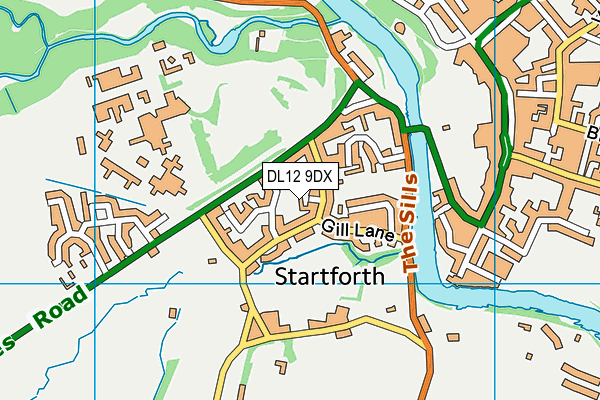 DL12 9DX map - OS VectorMap District (Ordnance Survey)
