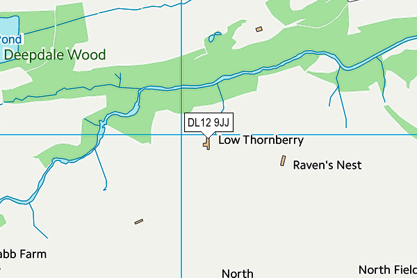DL12 9JJ map - OS VectorMap District (Ordnance Survey) DL12 9JJ map - OS VectorMap District (Ordnance Survey)