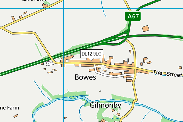 DL12 9LG map - OS VectorMap District (Ordnance Survey) DL12 9LG map - OS VectorMap District (Ordnance Survey)