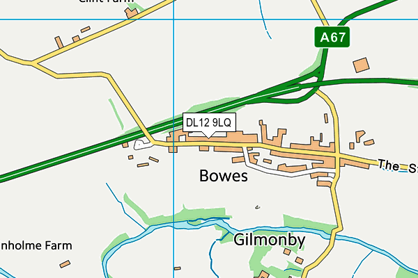 DL12 9LQ map - OS VectorMap District (Ordnance Survey) DL12 9LQ map - OS VectorMap District (Ordnance Survey)