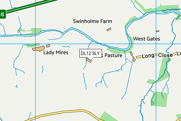 DL12 9LY map - OS VectorMap District (Ordnance Survey) DL12 9LY map - OS VectorMap District (Ordnance Survey)