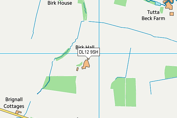 DL12 9SH map - OS VectorMap District (Ordnance Survey) DL12 9SH map - OS VectorMap District (Ordnance Survey)