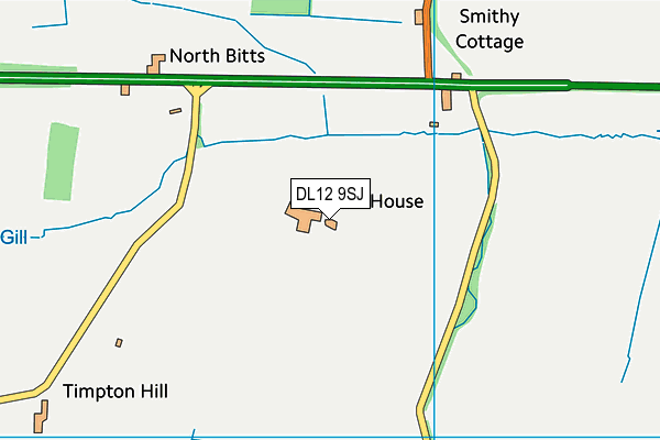 DL12 9SJ map - OS VectorMap District (Ordnance Survey) DL12 9SJ map - OS VectorMap District (Ordnance Survey)