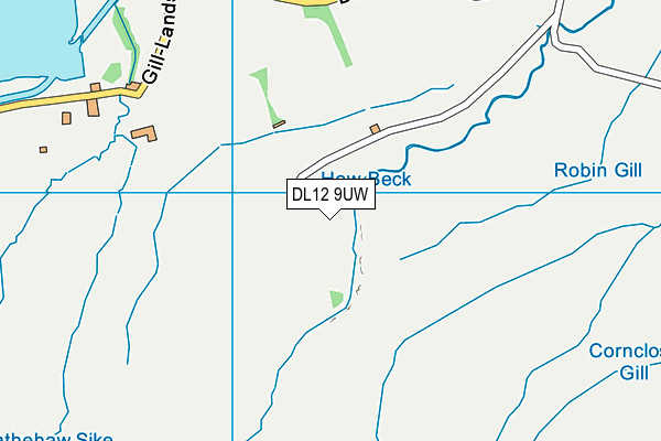 DL12 9UW map - OS VectorMap District (Ordnance Survey) DL12 9UW map - OS VectorMap District (Ordnance Survey)