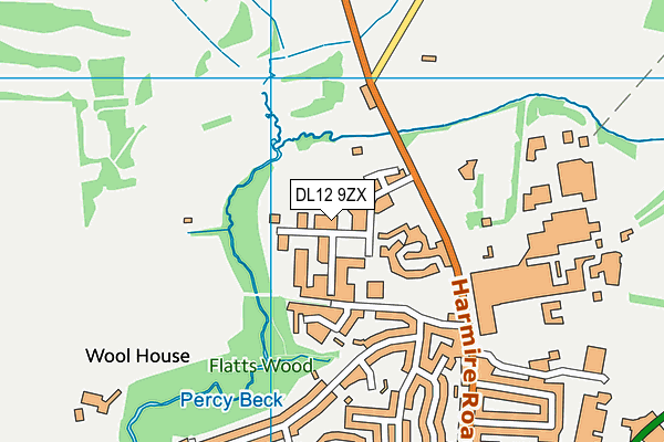 DL12 9ZX map - OS VectorMap District (Ordnance Survey) DL12 9ZX map - OS VectorMap District (Ordnance Survey)