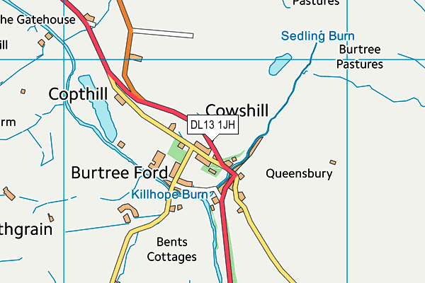 DL13 1JH map - OS VectorMap District (Ordnance Survey)