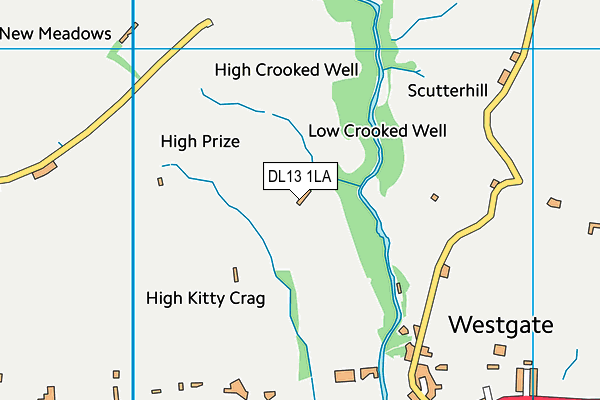 DL13 1LA map - OS VectorMap District (Ordnance Survey) DL13 1LA map - OS VectorMap District (Ordnance Survey)