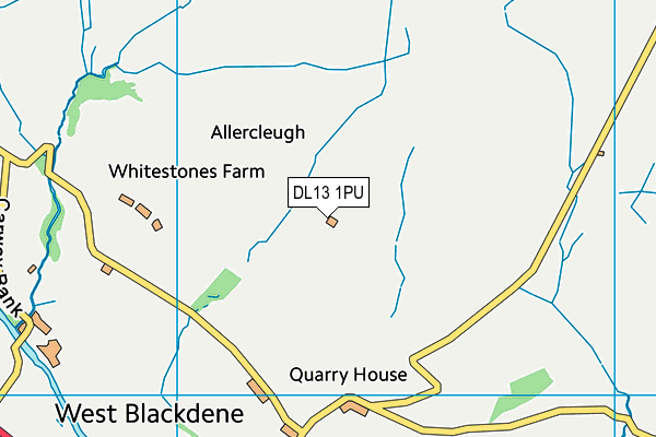 DL13 1PU map - OS VectorMap District (Ordnance Survey) DL13 1PU map - OS VectorMap District (Ordnance Survey)