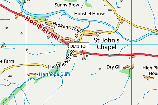DL13 1QF map - OS VectorMap District (Ordnance Survey) DL13 1QF map - OS VectorMap District (Ordnance Survey)
